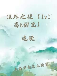 法外之徒（1v1高h甜寵）